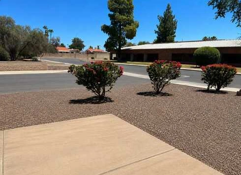 Clean walkway with shrubs and desert landscaping